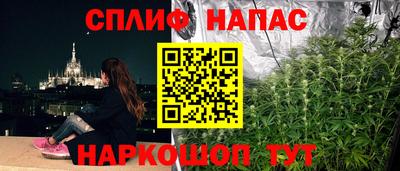 сатива Краснодар