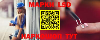 сатива Краснодар