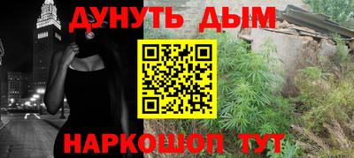 сатива Краснодар