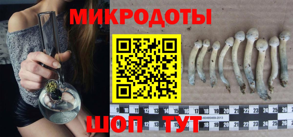 Галлюциногенные грибы GOLDEN TEACHER Каменск-Шахтинский