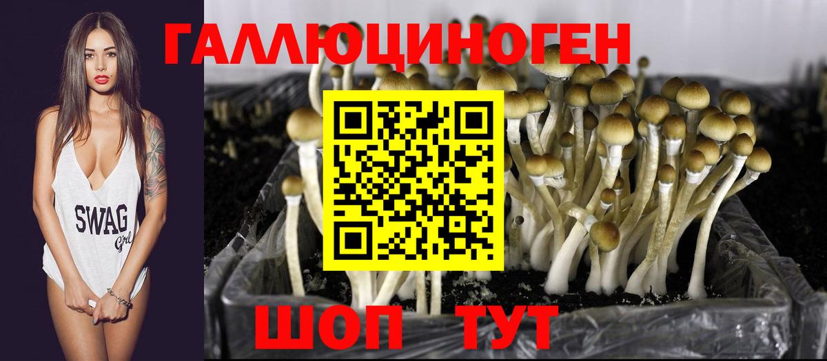 Псилоцибиновые грибы Cubensis  Галлюциногенные грибы Magic Shrooms  цены наркотик  Вход с VPN  Каменск-Шахтинский 